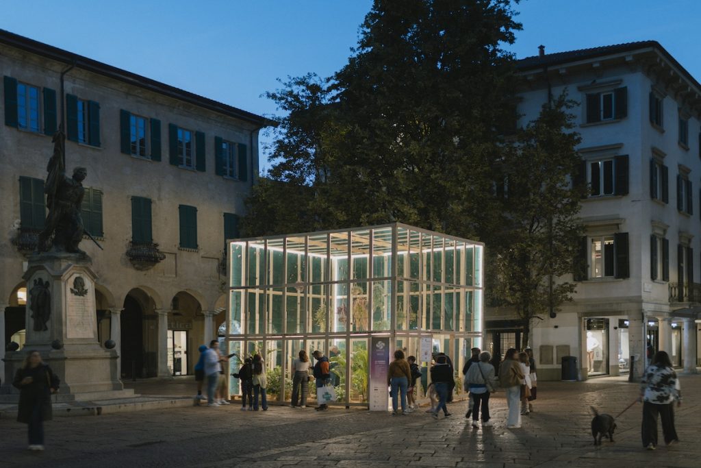 imballaggio in legno varese design week