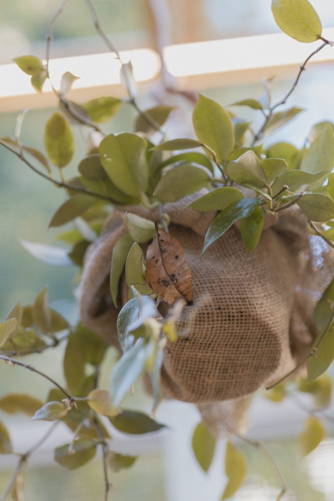 floricoltura bruschi partner novello design week