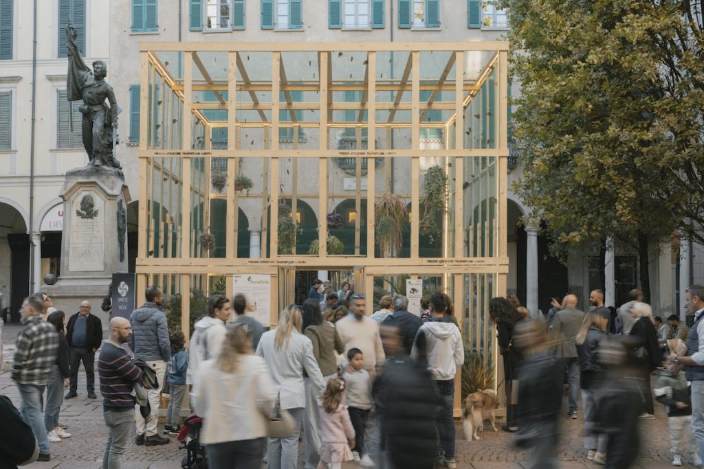installazione novello varese design week